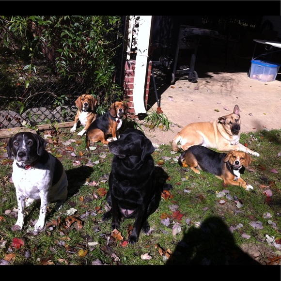 Meet your Posher, Amy - Picture 6 of 8